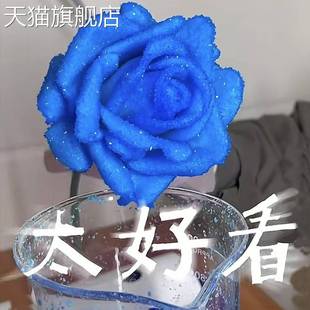 旗舰店官方正品冰晶玫瑰晶体花制作材料硫酸铝钾明矾氯化锰硫酸铬