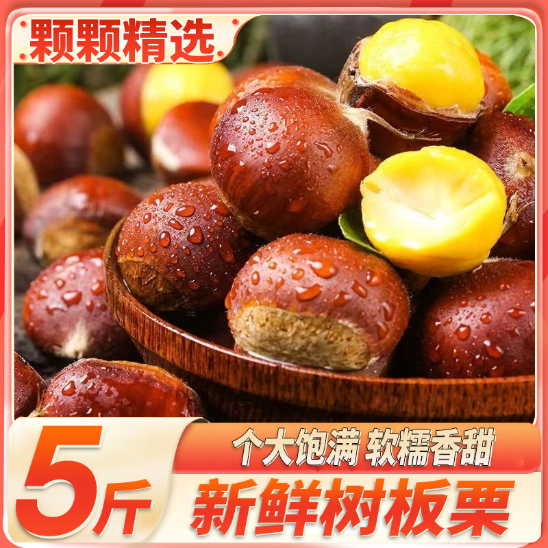 24年刚上市新鲜板栗蒸煮炒口感