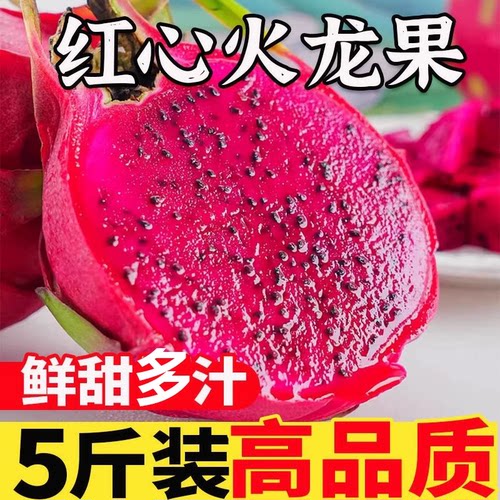 果园产地直发新鲜水果红心火龙果