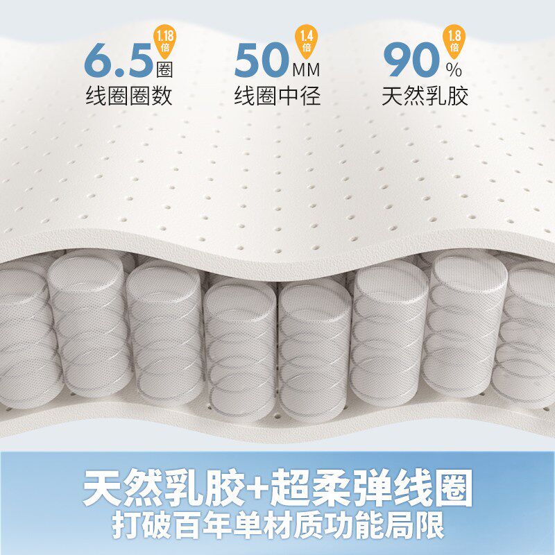 JACE护颈椎助睡眠枕头宿舍家用防鼾透气防螨枕睡觉专用乳胶弹簧枕