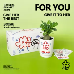 [自然引力-沙漠玫瑰 桌面植物花卉盆栽懒人好养节日女生小众礼物]