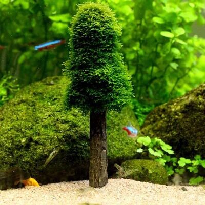 美易莫丝树圣诞树水草造景绑莫丝仿真杜鹃根沉木珊瑚莫丝虾缸草缸