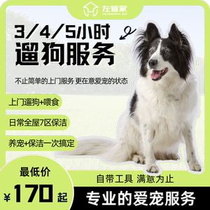 上门喂狗伴宠左管家拍照记录