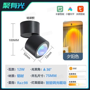已接入米家日不落智能嵌入式明装射灯涂鸦玄关背景小山丘夕阳氛围