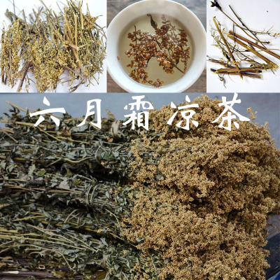 安吉高山野生六月霜茶防中暑解暑热夏季凉茶刘寄奴奇蒿2025新货干