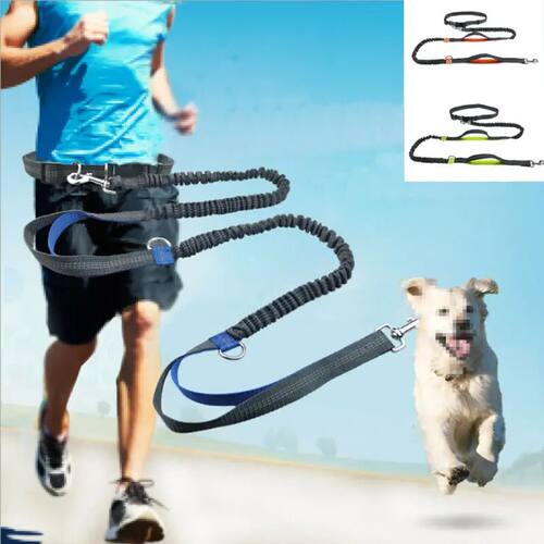 Reflective Leash Traction Rope Pet Dog Running Belt Elastic