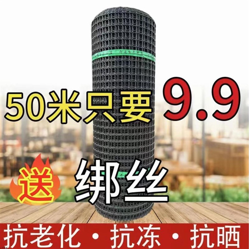 德国品质加厚养殖网拦鸡围网塑料围栏网隔离网玉米网果园圈地防护