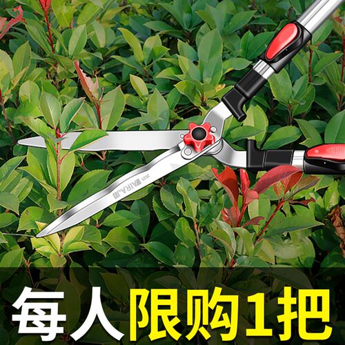 德国进口园艺大剪刀果树枝花园草坪修枝剪日本园林绿化工具绿篱剪