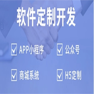 APP开发部署搭建APP定制APP上架APP设计APP运营APP推广开发公司