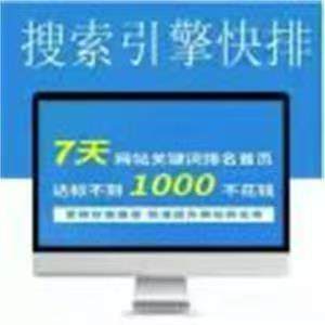 网站百度快排搜索引擎SEO优化关键词短视频流量搜索排名获客软件