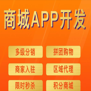 网站商城微信PC直播带货教育考试秒杀拼团代理分销小程序模板定制