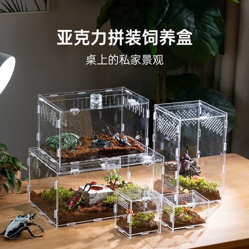 爬宠饲养盒亚克力蜥蜴爬宠守宫生态沙漠造景宠物蛇树栖角蛙水陆缸