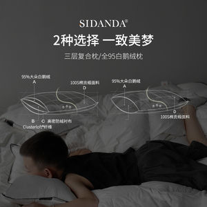 SIDANDA4-10岁儿童鹅绒枕头小学生儿童枕女男小孩棉枕头儿童四季