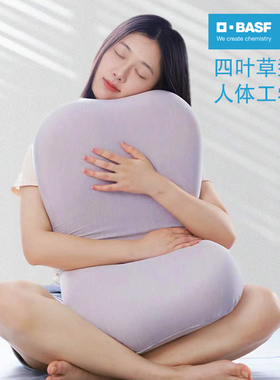 德国巴斯夫护颈椎枕慢回弹记忆棉枕头睡眠枕芯低薄枕家用宿舍人体