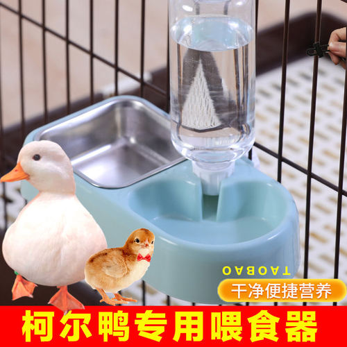 自动饮水喂食器小鸭小鸡宠物