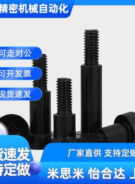 碳钢内六角型支点螺栓CBDBRH/CBDBR6/8-2/3/4/5/6/7/8/10/12/20