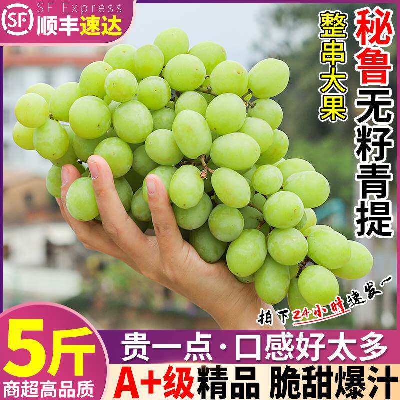 顺丰速达 5斤进口秘鲁青提无籽葡萄新鲜当季水果秋天脆甜整箱包邮