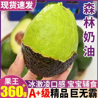 巨无霸精品15个装墨西哥牛油果新鲜水果鳄梨哈斯大果当季整箱包邮