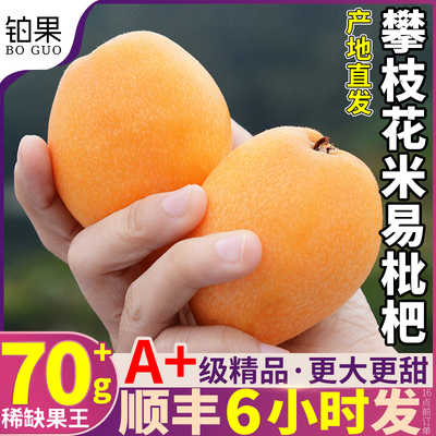 顺丰四川攀枝花米易枇杷鲜果5斤当季新鲜甜琵琶水果礼盒整箱包邮