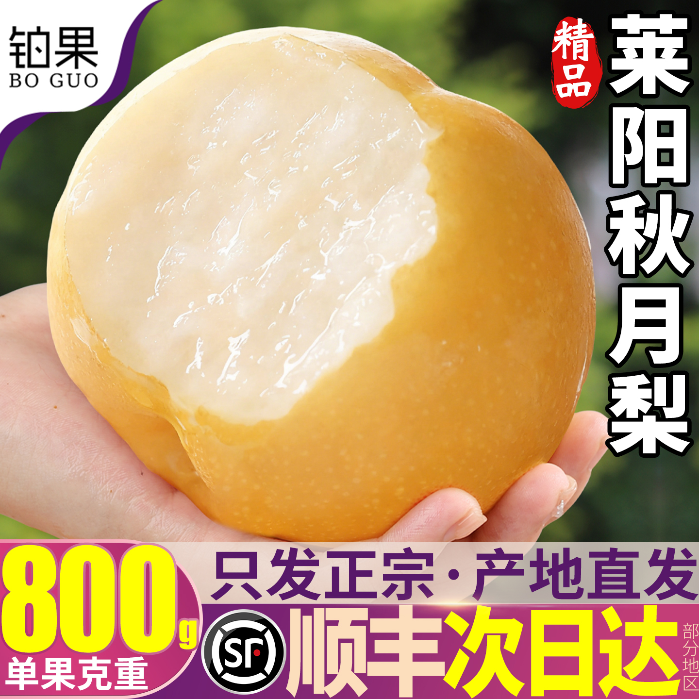 顺丰礼盒 10斤正宗山东莱阳秋月梨梨子新鲜水果雪梨当季整箱包邮