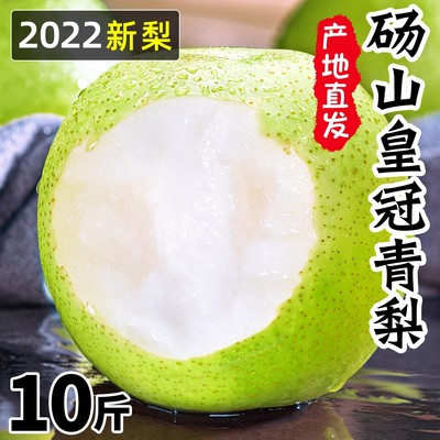梨安徽皇冠青梨10斤水果新鲜整箱应当季甜脆翠冠梨砀山青梨子