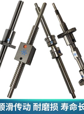 研磨滚珠丝杆SFK1001 1002.5 杠201 1201. 51602.5 160.3丝1套装