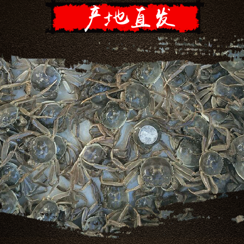 小螃蟹大小混合蟹香辣蟹