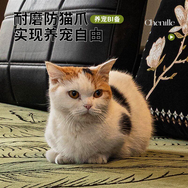 轻奢高级感劳伦斯沙发垫固定防滑2026新款四季通用皮沙发坐垫子