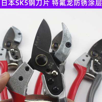 不锈钢树枝剪果树修枝剪果枝剪园艺剪刀家用省力花枝剪花艺修剪刀