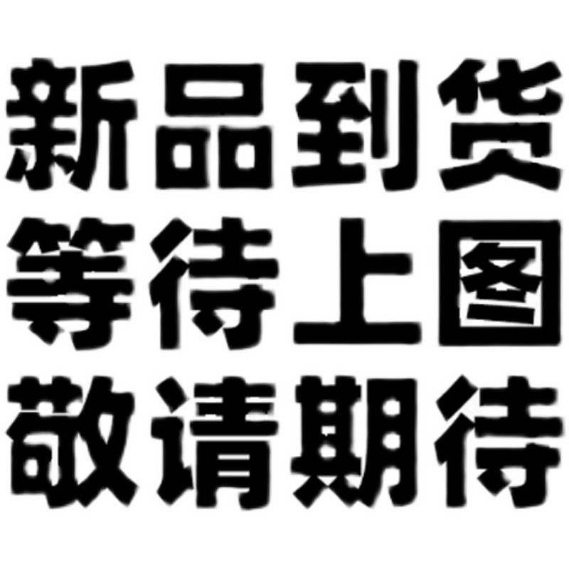 适用于三阳行者300前后护杠保险杠排气防撞加厚防摔靠背配件改装