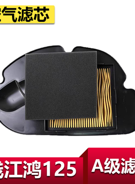 适用钱江鸿125空气滤芯鸿125空滤器空气滤网空滤QJMOTOR精品配套