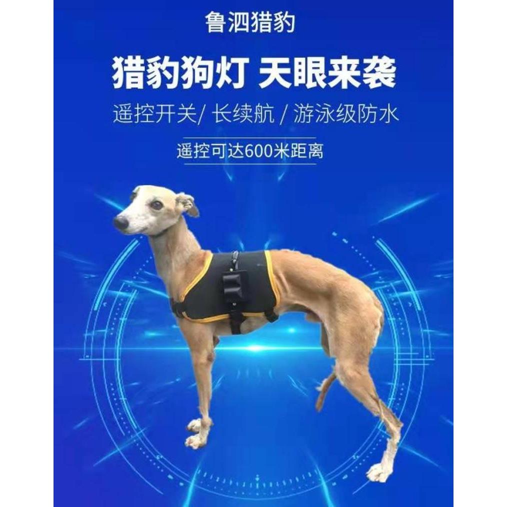 狗背灯鲁泗猎豹新款第二代升级版远距离遥控追踪狗灯充电式四灯珠