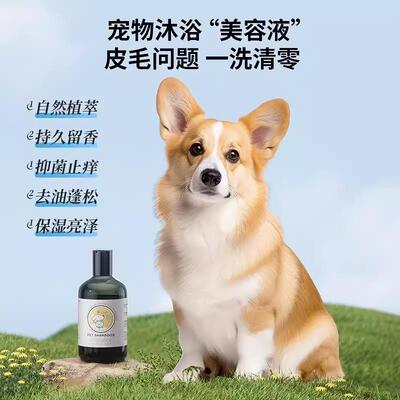 酵素洗衣液宠物衣物清洁液