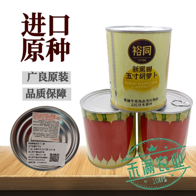 进口胡萝卜种裕同新黑田胡萝卜种子夏播用日本原种水果胡萝卜种籽