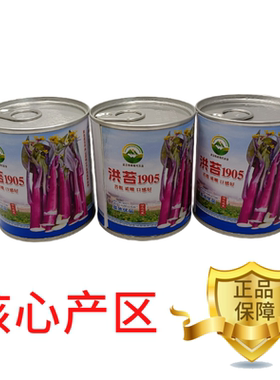 【洪苔1905】基地优选正宗湖北武汉洪山菜苔种子粗苔子抗冻抗病