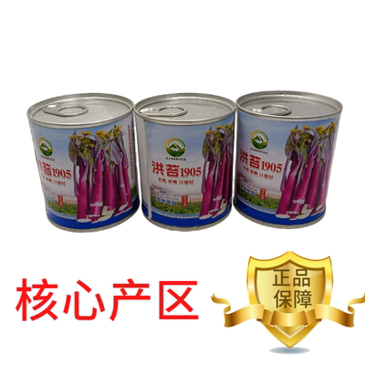 【洪苔1905】基地优选正宗湖北武汉洪山菜苔种子粗苔子抗冻抗病