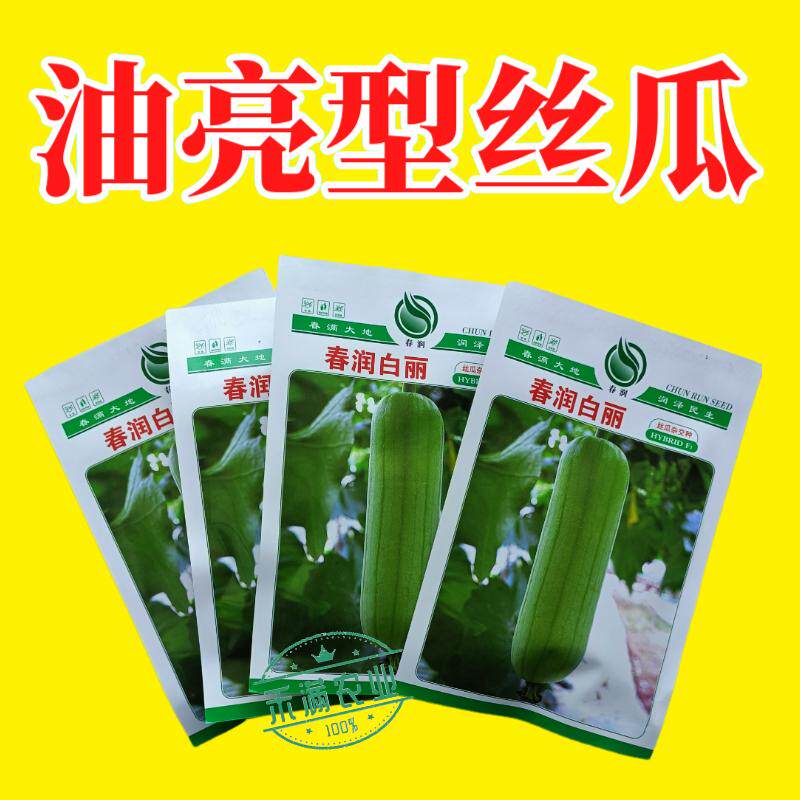 春润白丽杂交丝瓜种子 光滑油亮白绿色肉质紧口感甜基地丝瓜种籽