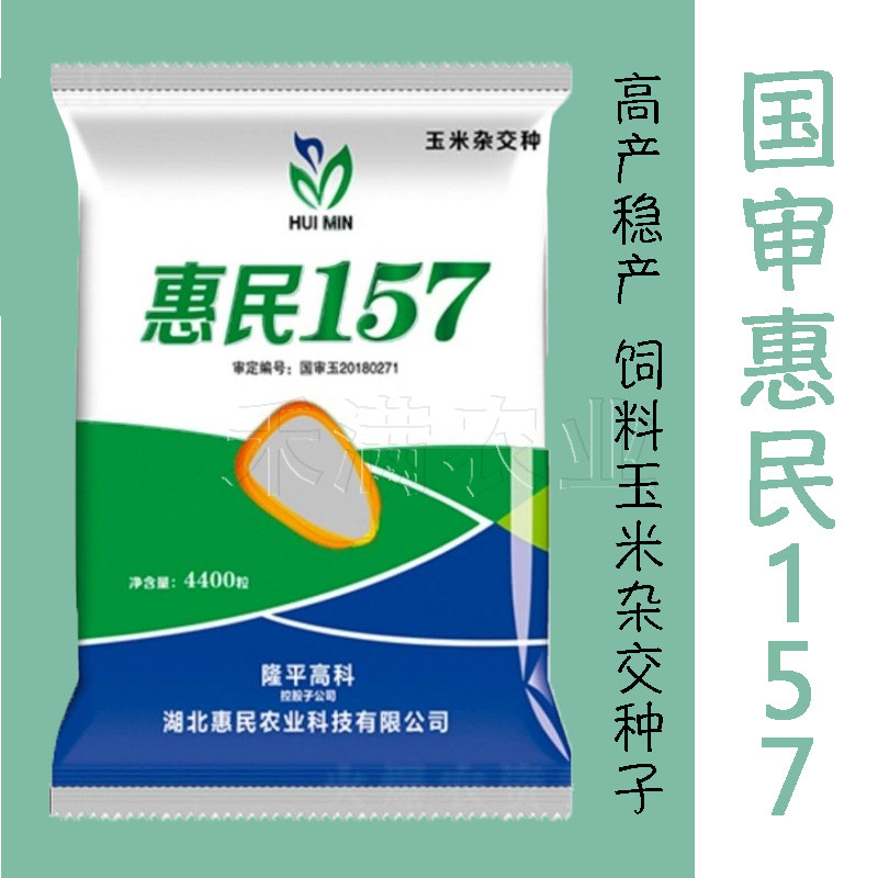 国审饲料玉米种子惠民157高产玉米种子大田抗旱抗倒大棒包谷种子