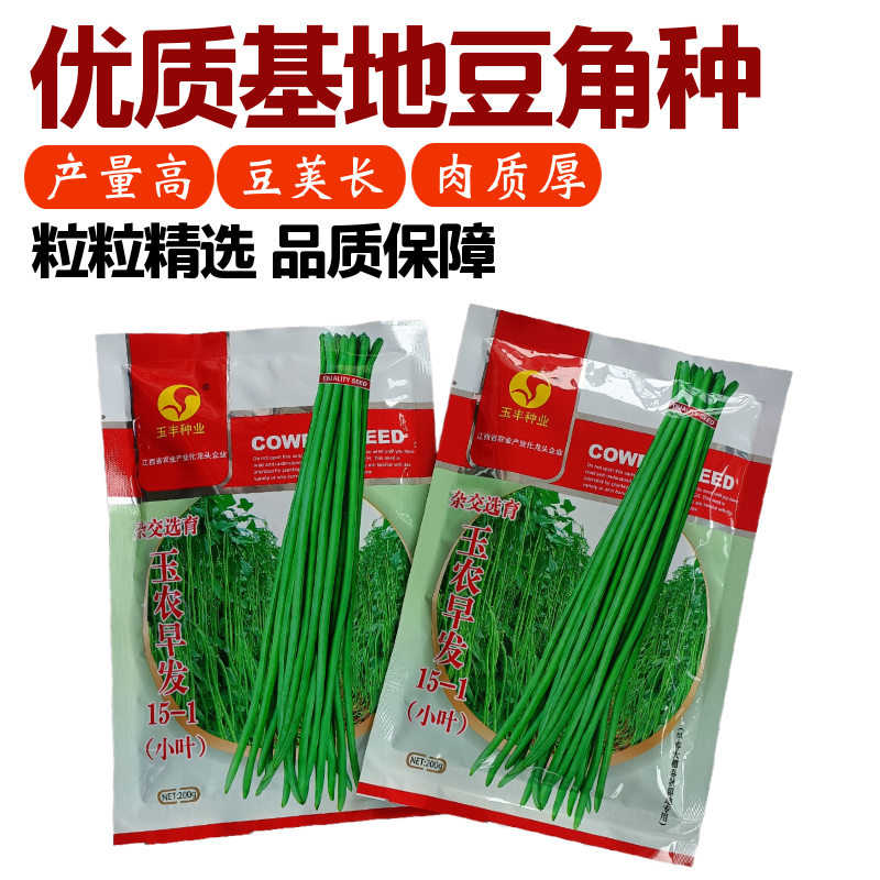 特长绿豇豆种子春秋季小叶长豆角种籽四季豆菜豆早熟高产蔬菜种孑