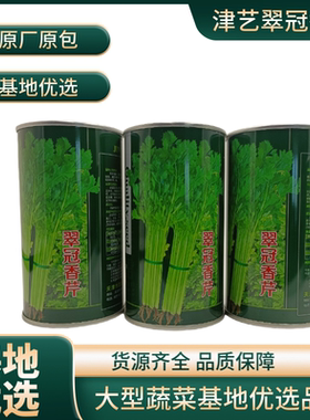 津艺翠冠香芹种子四季小香芹无纤维黄绿色速生抗倒伏芹菜种籽大田