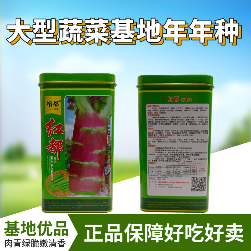 红都红莴笋种子红皮香莴笋种子耐热耐寒香莴苣种籽抗高温基地高端