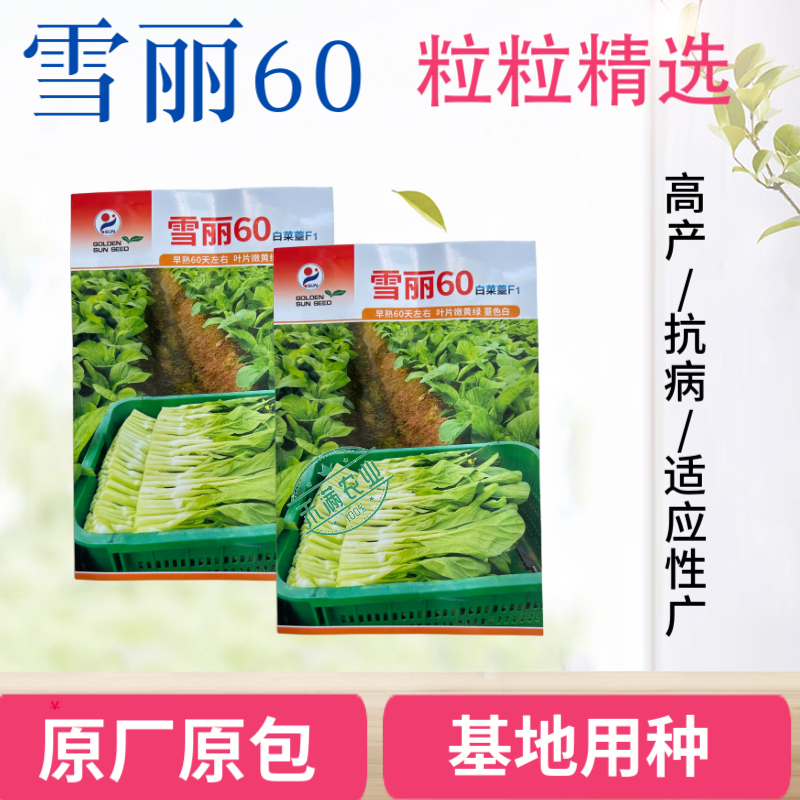 高端【多茬采收】金阳雪丽60白菜苔种子 早熟菜芯种籽耐寒侧芽多