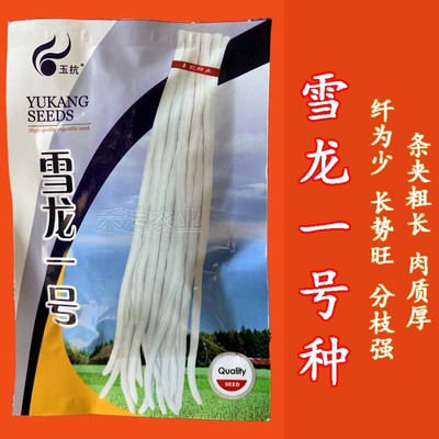 特长三尺白豇豆种子高产长豆角种籽肉厚肉嫩甜豆角春夏秋蔬菜种孑