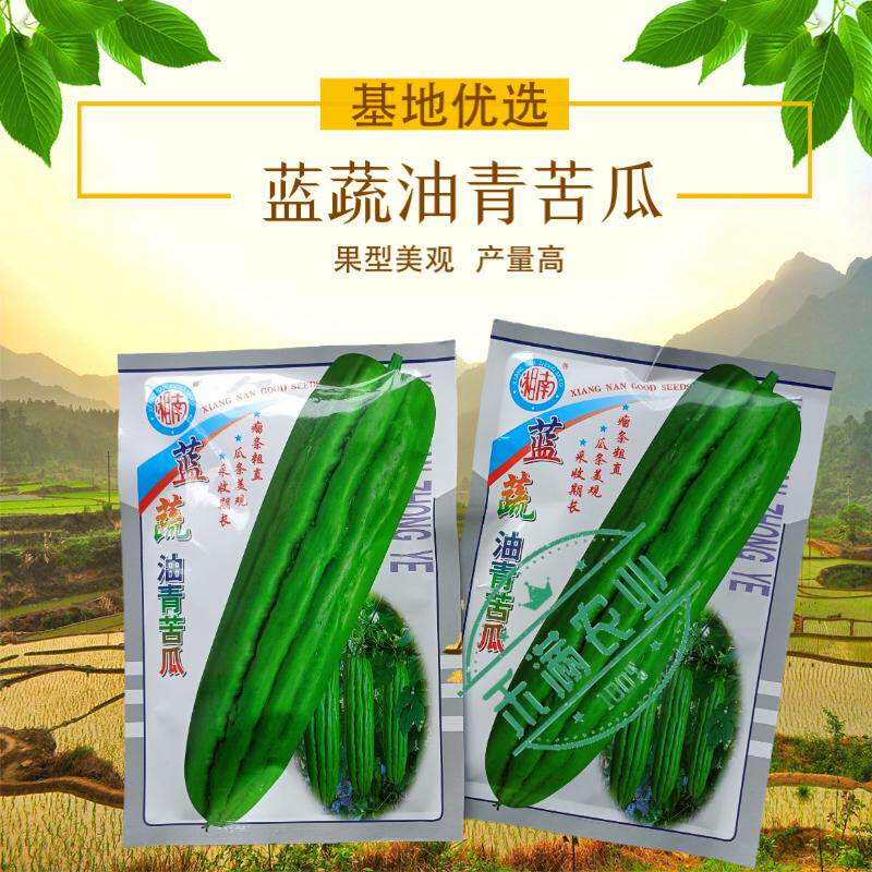 蓝蔬油青苦瓜种子50克大包装耐热耐寒多肉苦瓜种籽翠玉绿色苦瓜种