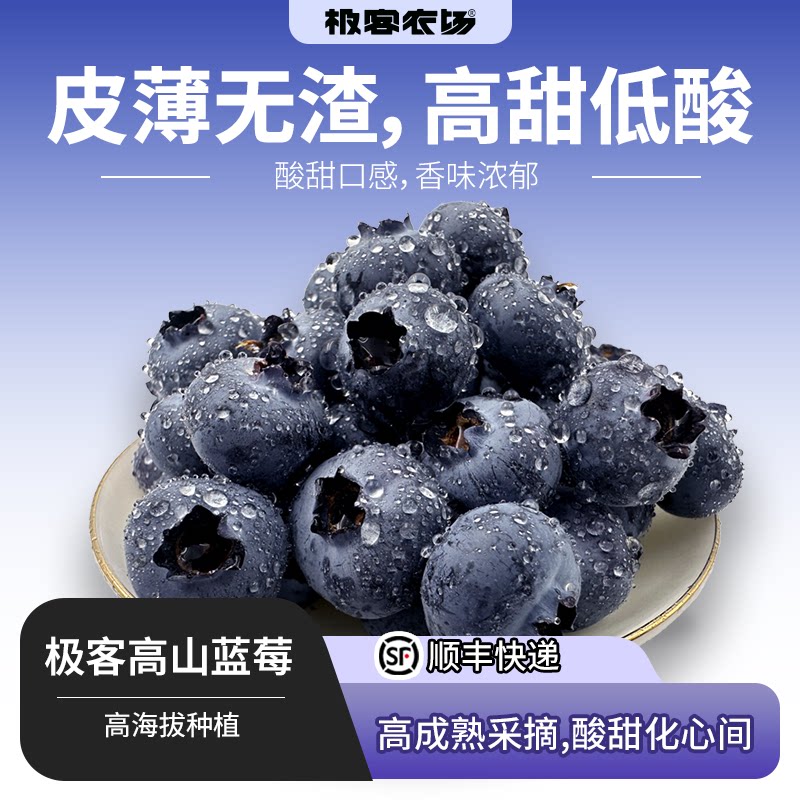 极客高山蓝莓 云南高海拔种植 自带花香 紧实脆甜 微酸风味足 SF