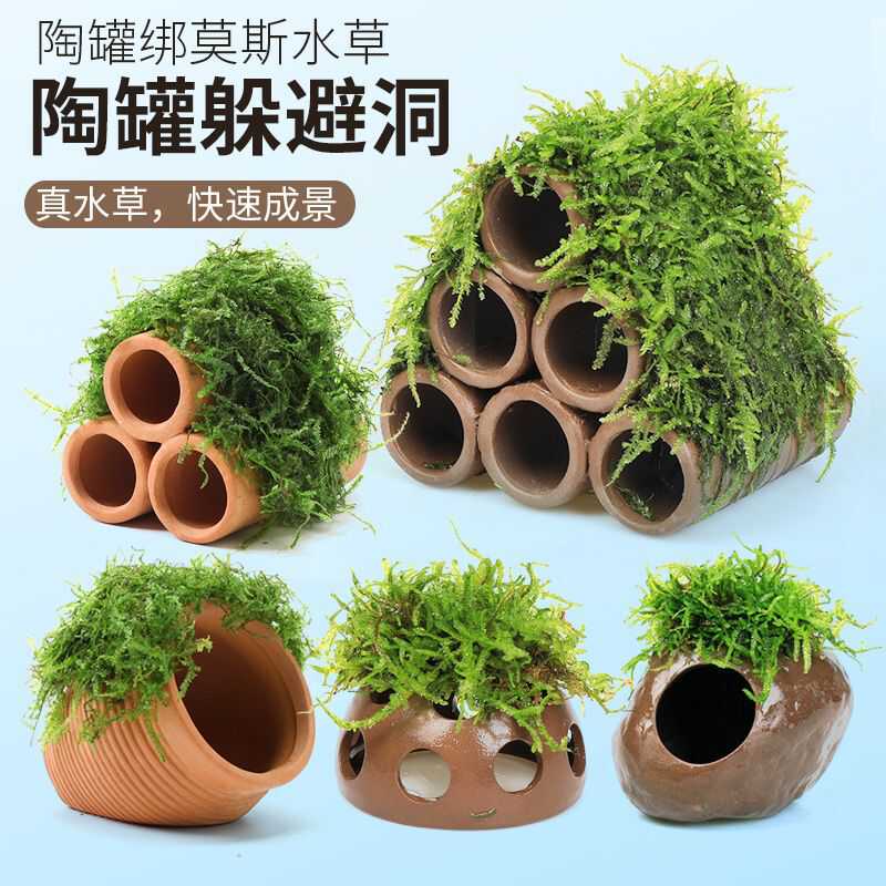 水草陶罐水草躲避屋产卵屋