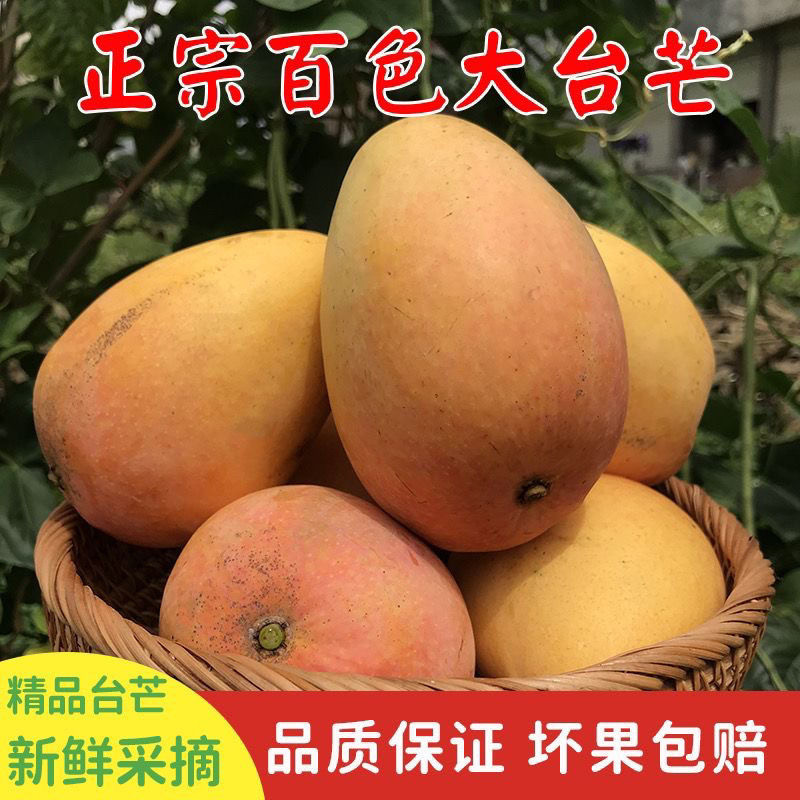 【精品果】广西百色台农芒新鲜现摘大台芒当季水果甜心5斤/9斤