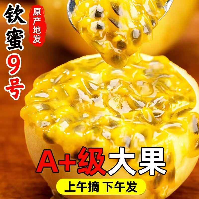 新鲜现摘广西钦蜜9号黄金百香果