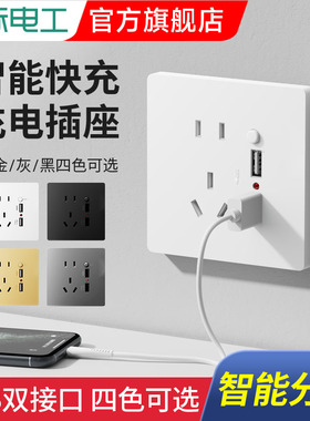 国际电工86型五孔type-c快充插座墙壁带开关USB家用手机充电暗装