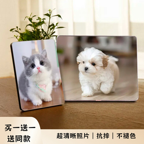 定制宠物纪念相框摆台